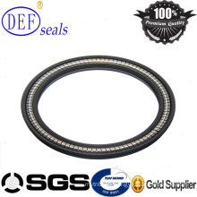 Symmetric PTFE Spring Energized Seals